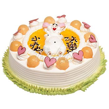 ·花语探秘：绽放于掌心的情感密语