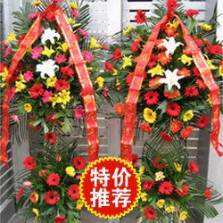 送给你最美的心意