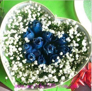 情人节 中秋节 元旦 春节 元宵节