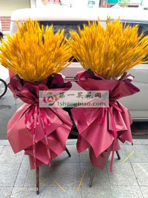 ·碎冰蓝花适合送什么人