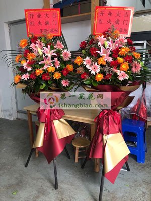 安博(Anbo)买电竞比赛的平台