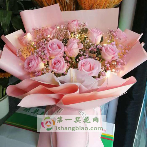 ·花语探秘