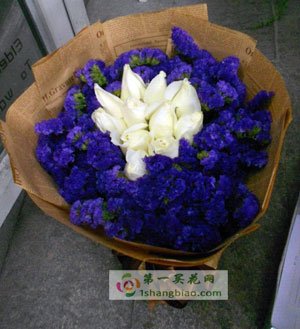 同题参见