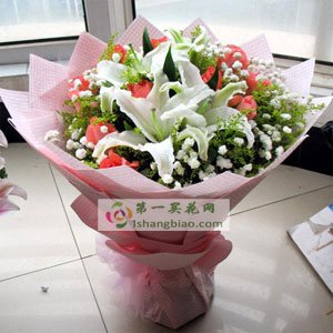 本站按公开材料组织页面